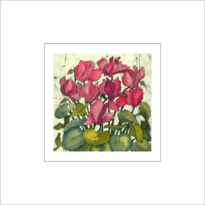 No.504 Cyclamen - signed Small Print.